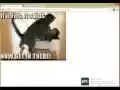 Post To Tumblr from Chrome web store to be run with OffiDocs Chromium online Post To Tumblr from Chrome web store to be run with OffiDocs Chromium online