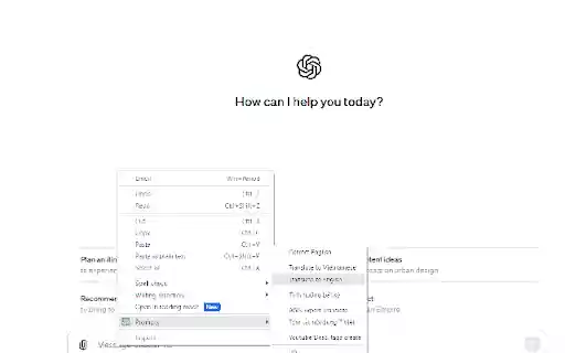 Prompts  from Chrome web store to be run with OffiDocs Chromium online