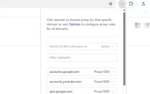 Proxy Switchy X  from Chrome web store to be run with OffiDocs Chromium online