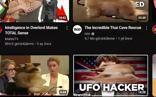 Pumafy  from Chrome web store to be run with OffiDocs Chromium online