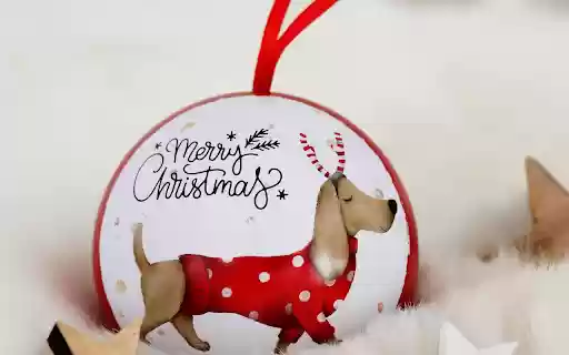 Puppy hook  from Chrome web store to be run with OffiDocs Chromium online