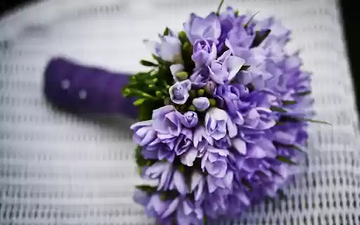 Purple flowers are faithful from Chrome web store to be run with OffiDocs Chromium online Purple flowers are faithful from Chrome web store to be run with OffiDocs Chromium online