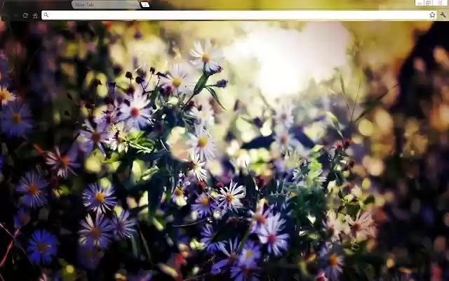 Purple flowers(Non Aero)  from Chrome web store to be run with OffiDocs Chromium online