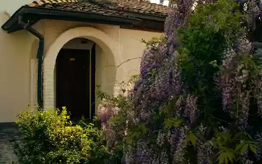 Purple Flower Trellis  from Chrome web store to be run with OffiDocs Chromium online