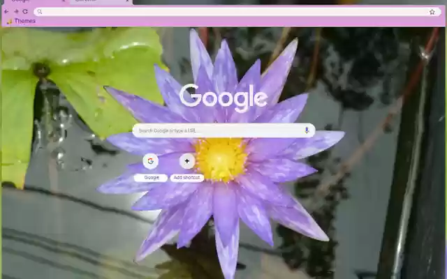 Purple Lotus Flower  from Chrome web store to be run with OffiDocs Chromium online