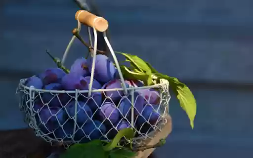 Purple Plums, Woven Baskets Velvet Bounty  from Chrome web store to be run with OffiDocs Chromium online