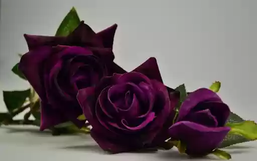 Purple velvet roses  from Chrome web store to be run with OffiDocs Chromium online