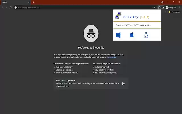 PuTTYKey  from Chrome web store to be run with OffiDocs Chromium online