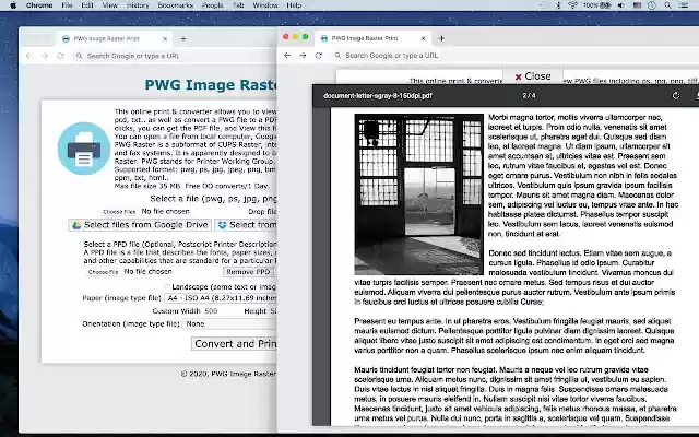 PWG Image Raster Printin Chrome with by OffiDocs