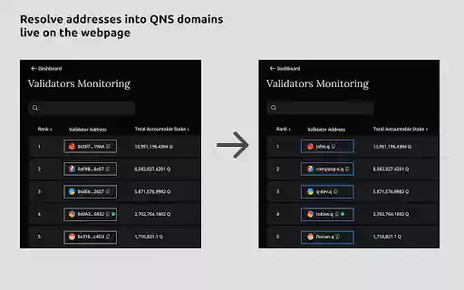 QNS Resolver Extension  from Chrome web store to be run with OffiDocs Chromium online
