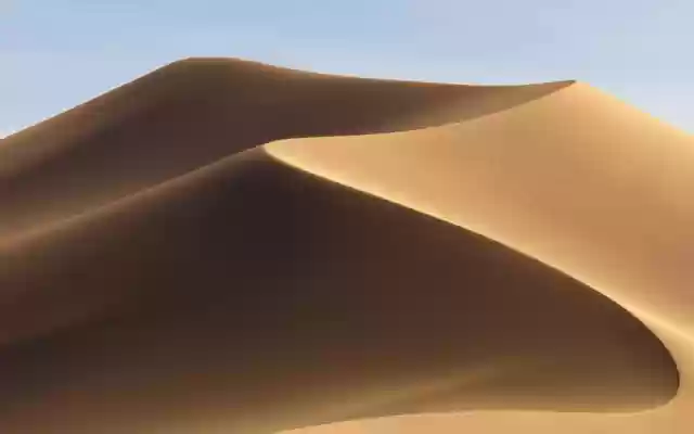 QRCode Humanograma  from Chrome web store to be run with OffiDocs Chromium online