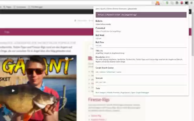qSEO Meta SEO Site Tool  from Chrome web store to be run with OffiDocs Chromium online