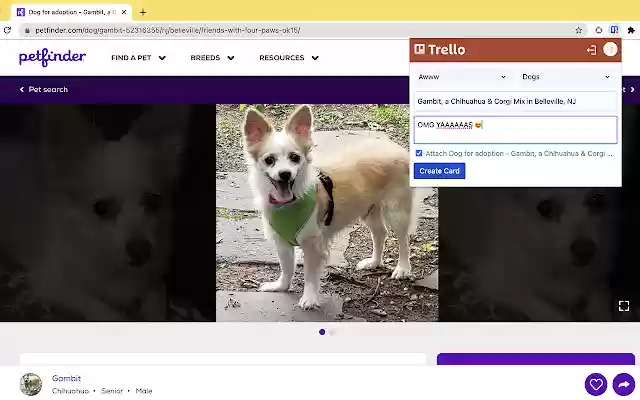 Quick Cards for Trello from Chrome web store to be run with OffiDocs Chromium online Quick Cards for Trello from Chrome web store to be run with OffiDocs Chromium online