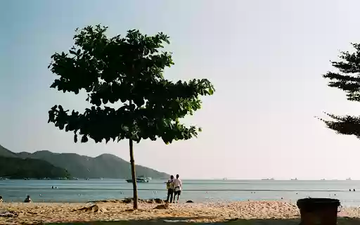 Quiet Moments by the Sea  from Chrome web store to be run with OffiDocs Chromium online