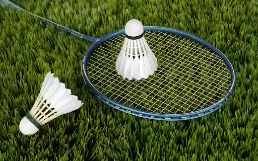 Racket on the court  from Chrome web store to be run with OffiDocs Chromium online