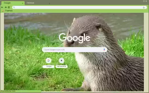 Rai ca song  from Chrome web store to be run with OffiDocs Chromium online