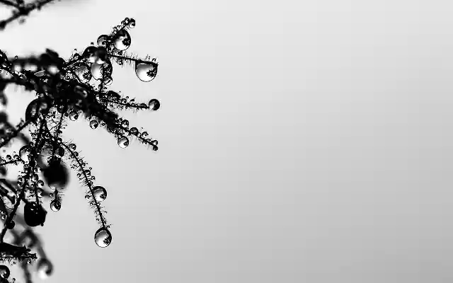 Raindrops  from Chrome web store to be run with OffiDocs Chromium online