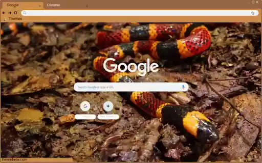 Ran san ho  from Chrome web store to be run with OffiDocs Chromium online