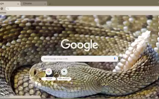 Rattlesnake from Chrome web store to be run with OffiDocs Chromium online Rattlesnake from Chrome web store to be run with OffiDocs Chromium online
