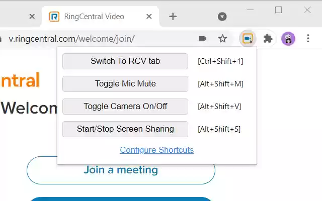 RC Video Companion  from Chrome web store to be run with OffiDocs Chromium online
