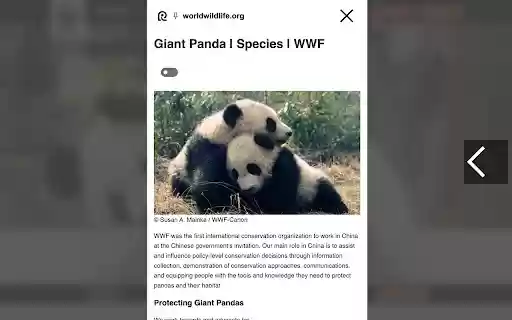 Readify: Lightweight Reader View  from Chrome web store to be run with OffiDocs Chromium online