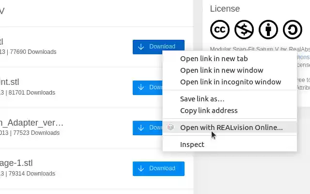 REALvision Online  from Chrome web store to be run with OffiDocs Chromium online