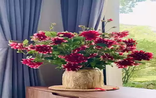 Red dahlias vase wallpaper  from Chrome web store to be run with OffiDocs Chromium online