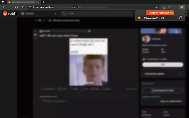 Reddit link shortener  from Chrome web store to be run with OffiDocs Chromium online