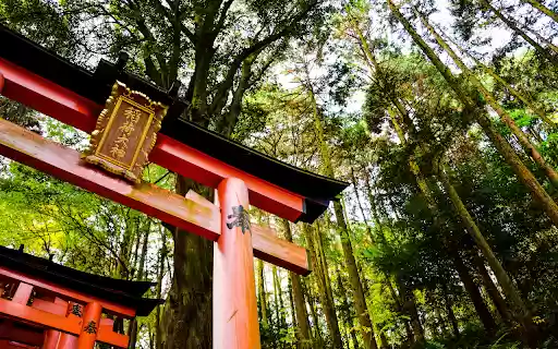 Red Pagoda of a Temple in Kyoto  from Chrome web store to be run with OffiDocs Chromium online