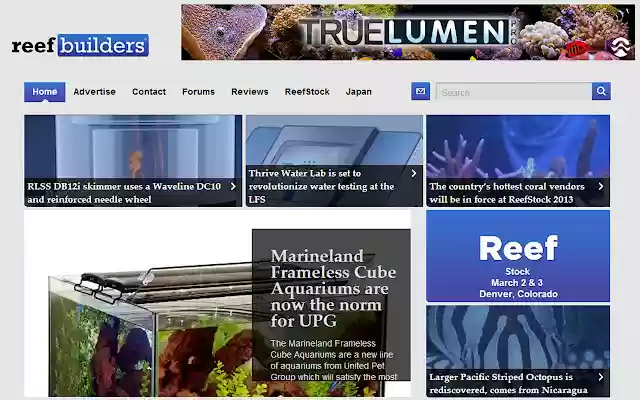Reef Builders  from Chrome web store to be run with OffiDocs Chromium online