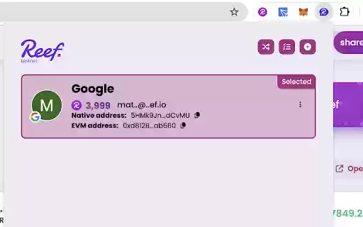 Reef Easy Social Account Extension  from Chrome web store to be run with OffiDocs Chromium online