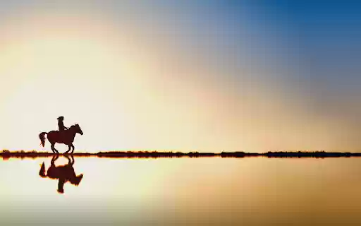 Reiter Horse Water  from Chrome web store to be run with OffiDocs Chromium online