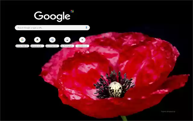 Remberance Poppy  from Chrome web store to be run with OffiDocs Chromium online