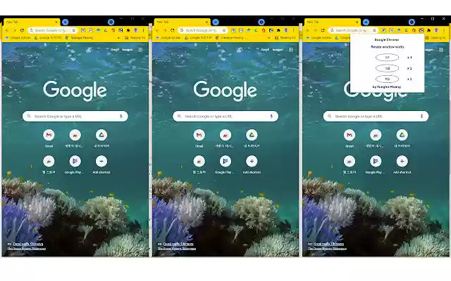 ResizeChromeWidth  from Chrome web store to be run with OffiDocs Chromium online