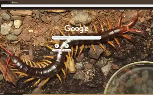 Ret  from Chrome web store to be run with OffiDocs Chromium online