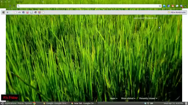 Rice  from Chrome web store to be run with OffiDocs Chromium online