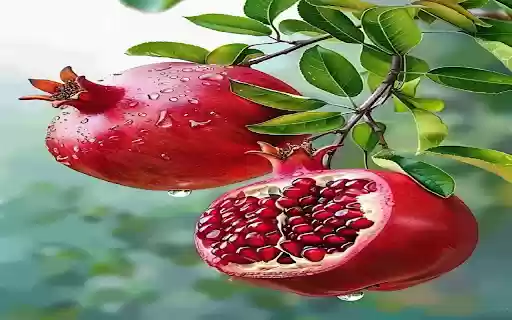 Ripe pomegranate branch wallpaper  from Chrome web store to be run with OffiDocs Chromium online