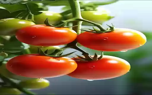 ripe tomato wallpaper  from Chrome web store to be run with OffiDocs Chromium online