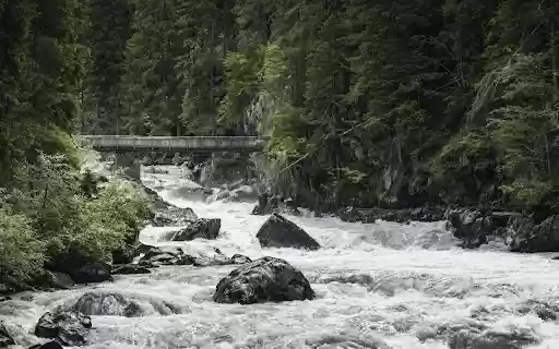 River in the Middle of Forest  from Chrome web store to be run with OffiDocs Chromium online
