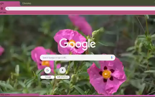 Rock Rose  from Chrome web store to be run with OffiDocs Chromium online