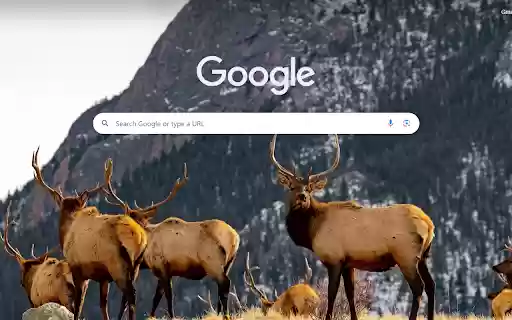 Rocky Mountain Elk Gathering  from Chrome web store to be run with OffiDocs Chromium online