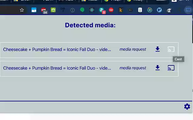 RokuKast from Chrome web store to be run with OffiDocs Chromium online RokuKast from Chrome web store to be run with OffiDocs Chromium online