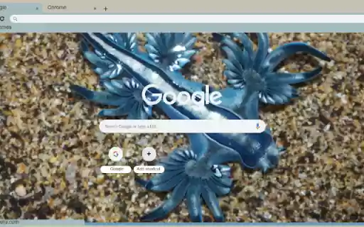 Rong xanh  from Chrome web store to be run with OffiDocs Chromium online