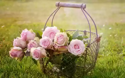 Roses in basket from Chrome web store to be run with OffiDocs Chromium online Roses in basket from Chrome web store to be run with OffiDocs Chromium online