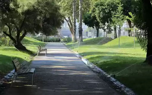 Rows of green park benches  from Chrome web store to be run with OffiDocs Chromium online