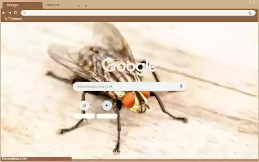 Ruoi trau  from Chrome web store to be run with OffiDocs Chromium online