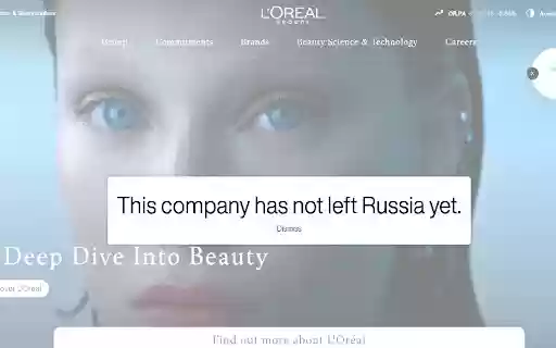 Russia Company Checker  from Chrome web store to be run with OffiDocs Chromium online