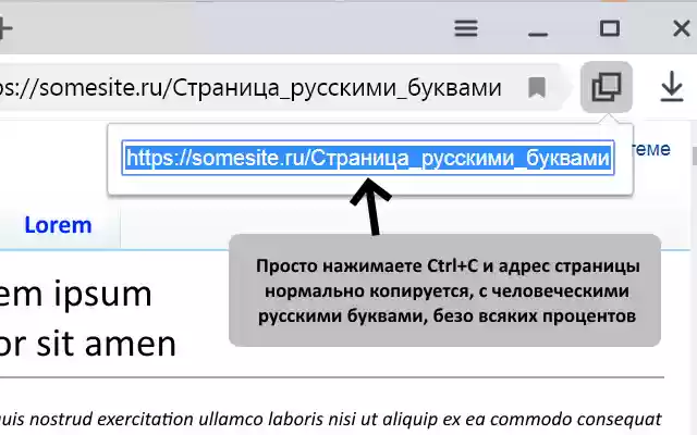 Russian Address Plugin  from Chrome web store to be run with OffiDocs Chromium online