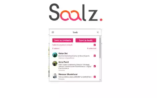 Saalz  from Chrome web store to be run with OffiDocs Chromium online