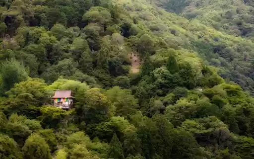 Sacred temple in deep forest  from Chrome web store to be run with OffiDocs Chromium online